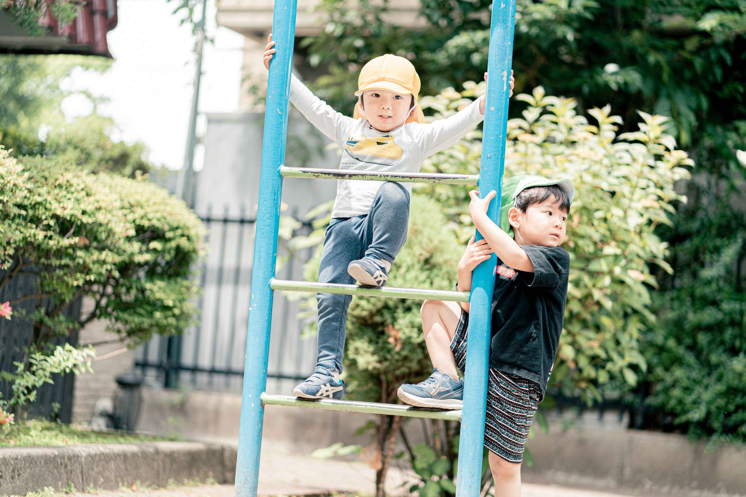 日々のようす 写真1