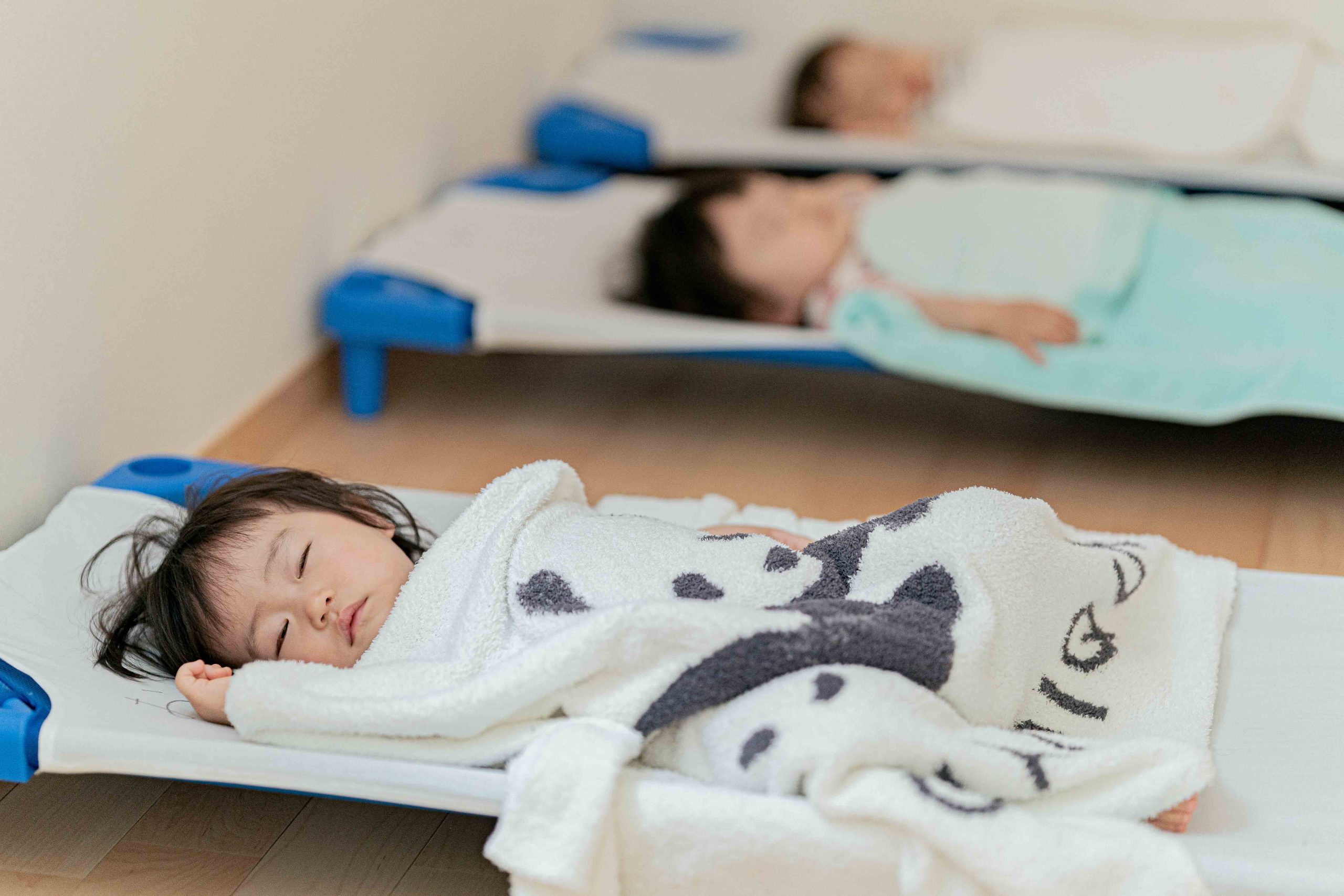 日々のようす 写真6