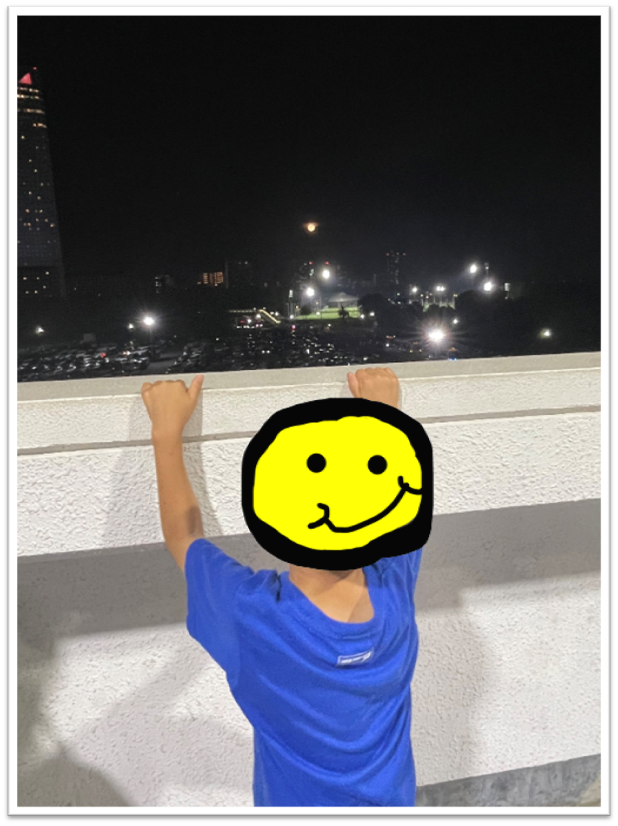 記事画像